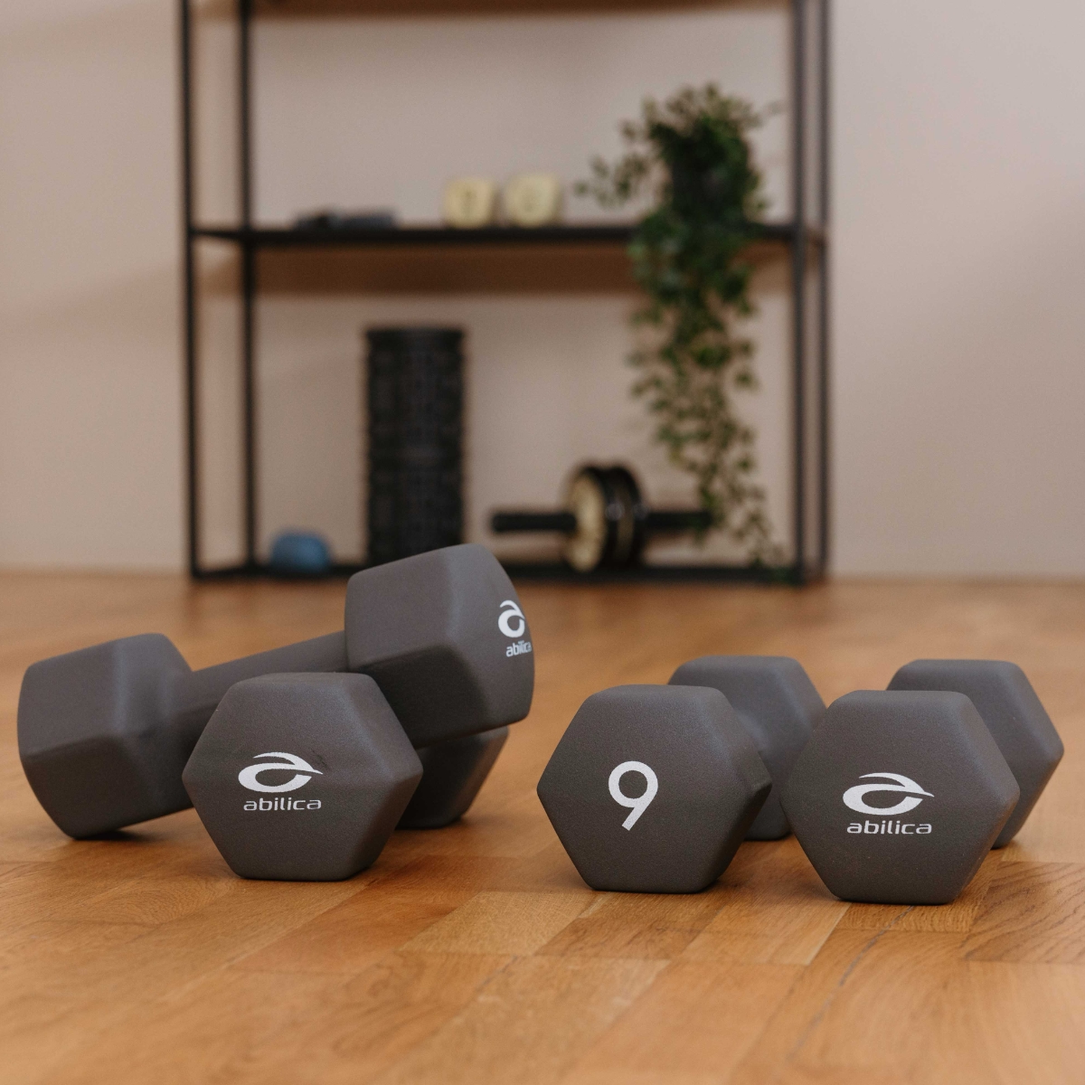 Dumbbell Hex 1-10 kg